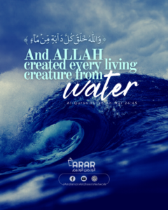 Allah Created Every Living Creature Arrahman Arraheemarrahman Arraheem