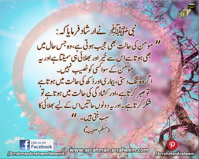 Patience and thankfullness_urdu_ArrahmanArraheem