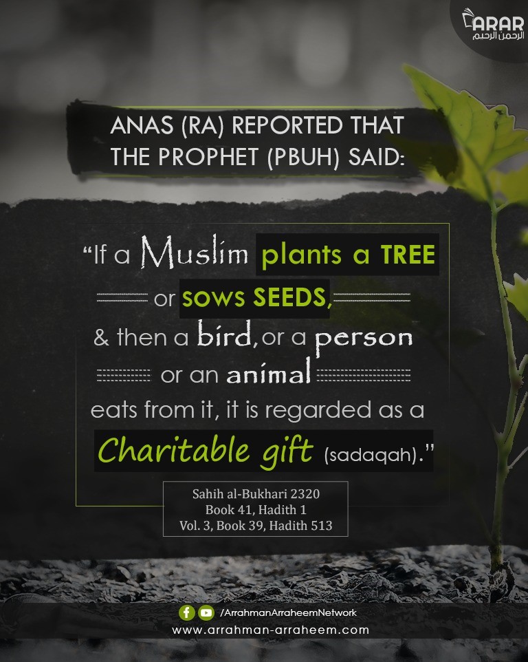 Plant a Tree - Arrahman Arraheem